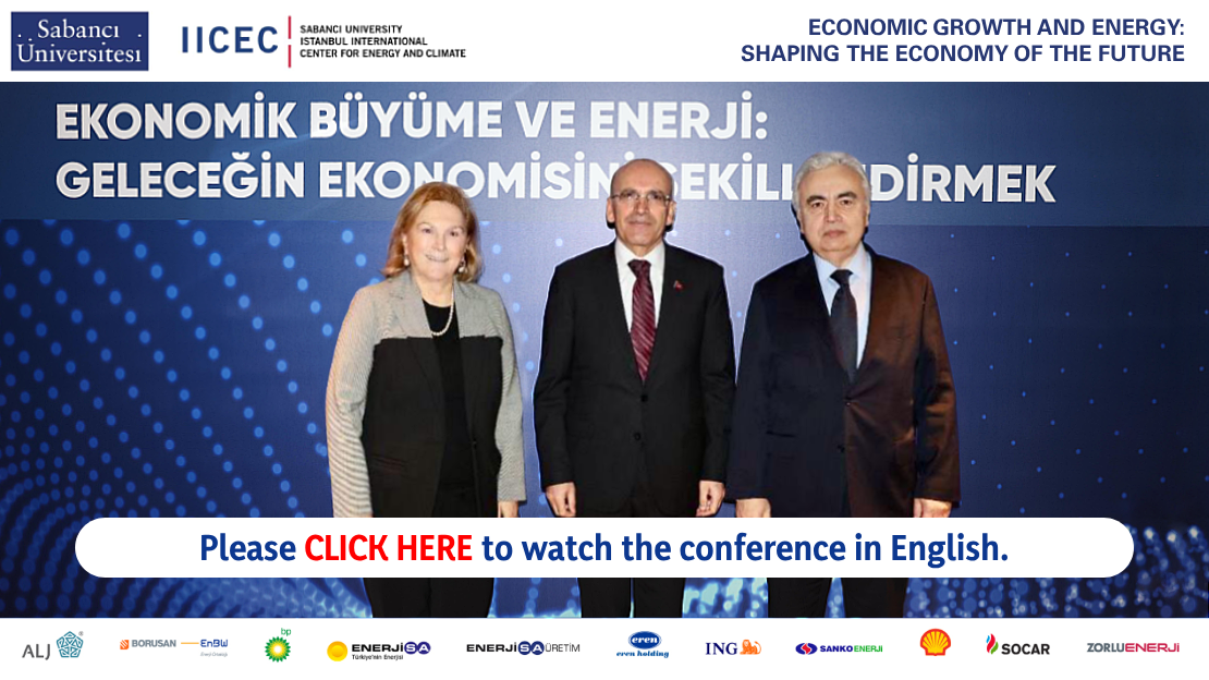 17th IICEC Conference: Economic Growth and Energy: Shaping the Economy of the Future