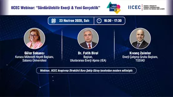 IICEC Webinar on ‘‘Sustainable Energy and the New Reality’’