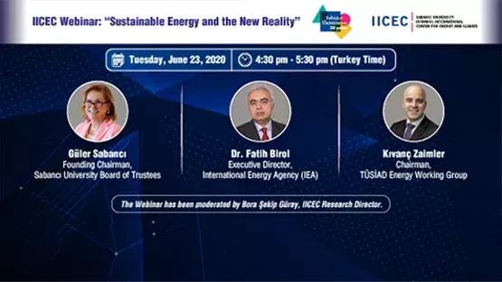 IICEC Webinar on ‘‘Sustainable Energy and the New Reality’’