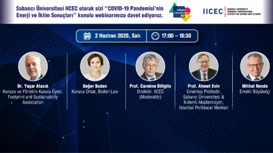 IICEC Webinar on ‘‘Energy and Climate Consequences of the COVID-19 Pandemic’’