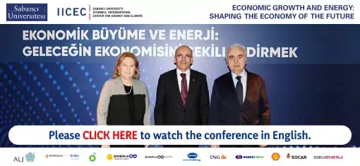 17th IICEC Conference: Economic Growth and Energy: Shaping the Economy of the Future