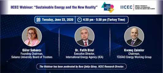 IICEC Webinar on ‘‘Sustainable Energy and the New Reality’’