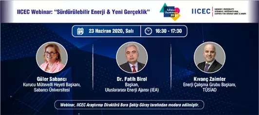 IICEC Webinar on ‘‘Sustainable Energy and the New Reality’’